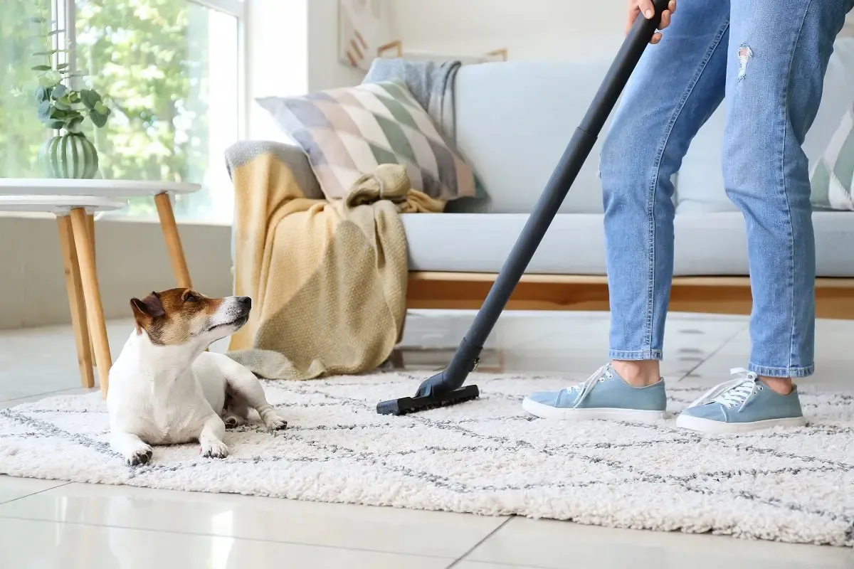 2024-10-cleaning-tips-for-pet-lovers-how-to-keep-your-home-fresh-1