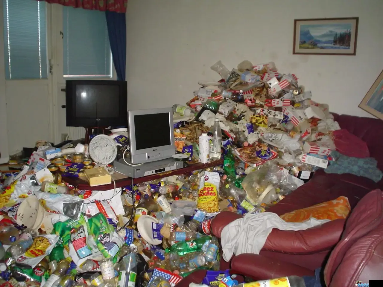 2024-11-the-messy-home-dilemma-lost-socks-and-culinary-calamities