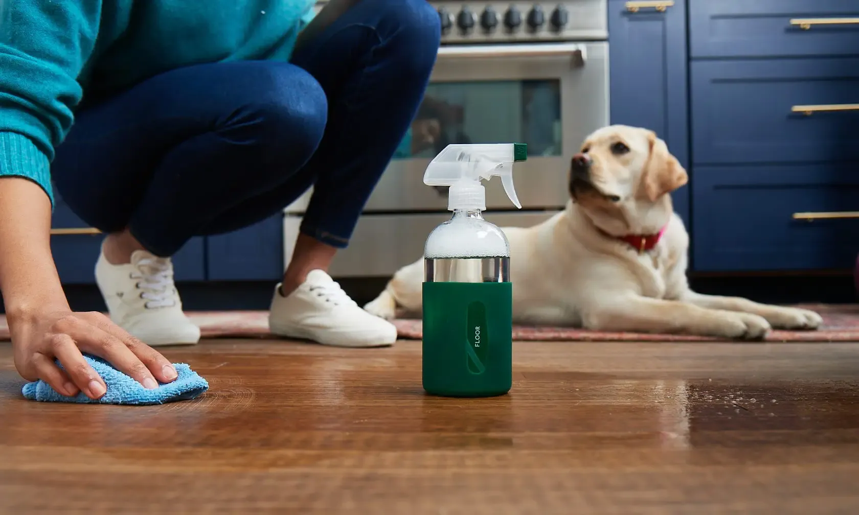 2024-12-cleaning-tips-for-pet-lovers-how-to-keep-your-home-fresh