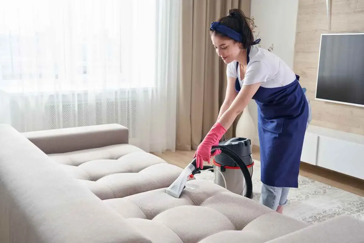 2024-12-the-surprising-truth-about-diy-vs-professional-cleaning